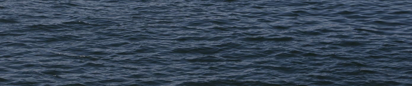 fleet marquee 1391x290