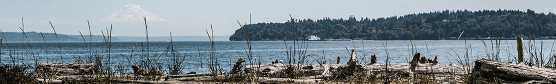 seattle times evergreen article