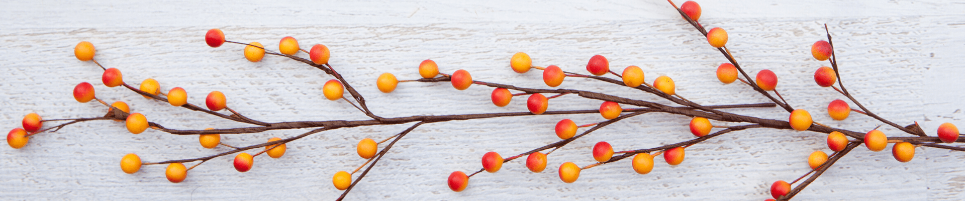 untitled design 2019 11 20t135334.251