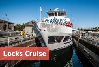 Argosy Locks Cruise with boat in Ballard Locks, guests on board and blue sky