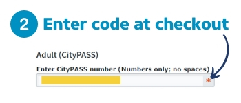 Infograph showing where to enter code at checkout