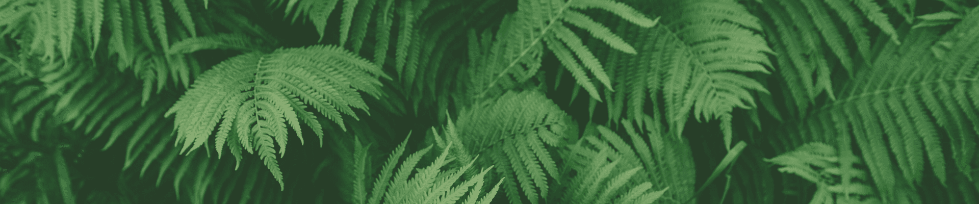 copy of book by june 12... (4)